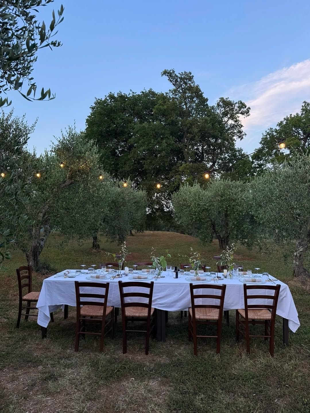 Cena tra cipressi al tramonto, candele accese